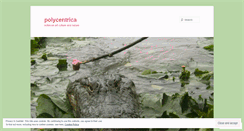 Desktop Screenshot of polycentrica.com